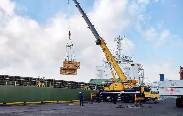 仕事の内容について